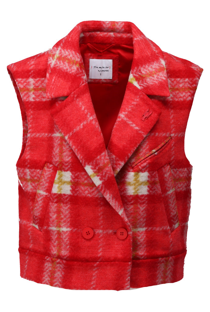 Geruite gilet - D908L
